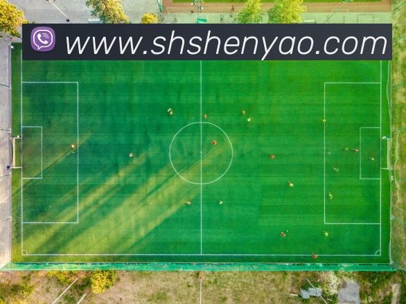 世界杯官方认证平台 - 世界杯(中国)平台生态图